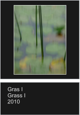 Gras I Grass I 2010