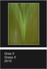 Gras II Grass II 2010