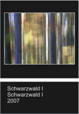 Schwarzwald I Schwarzwald I 2007